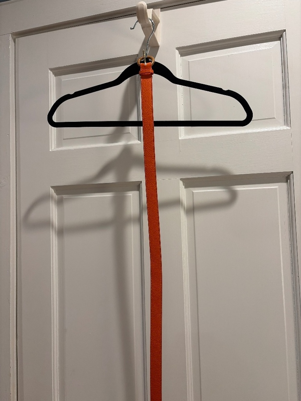 Talbots Orange belt